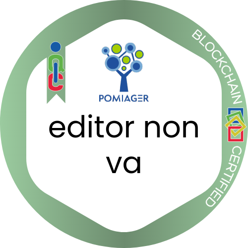 editor non va